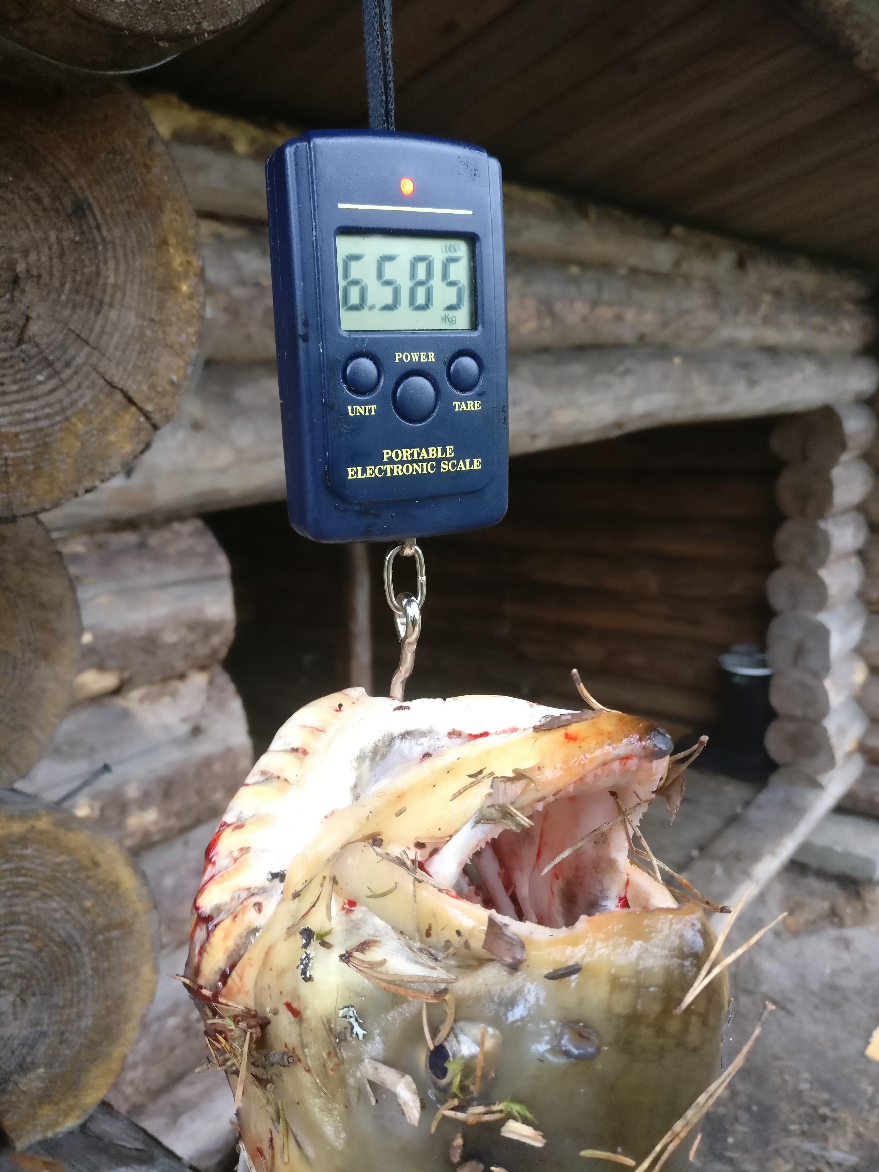 6.585kg