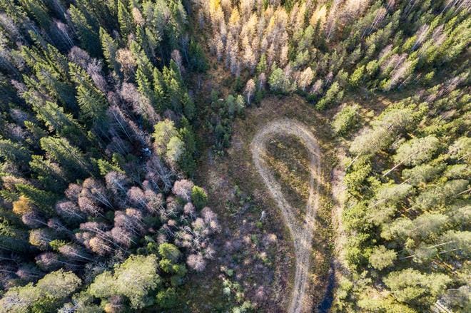 Metsäomaisuuden voi saada tuottamaan liittymällä yhteismetsään. Silloin muut hoitavat metsää, mutta päätösvaltaa on vähän aiempaan verrattuna.