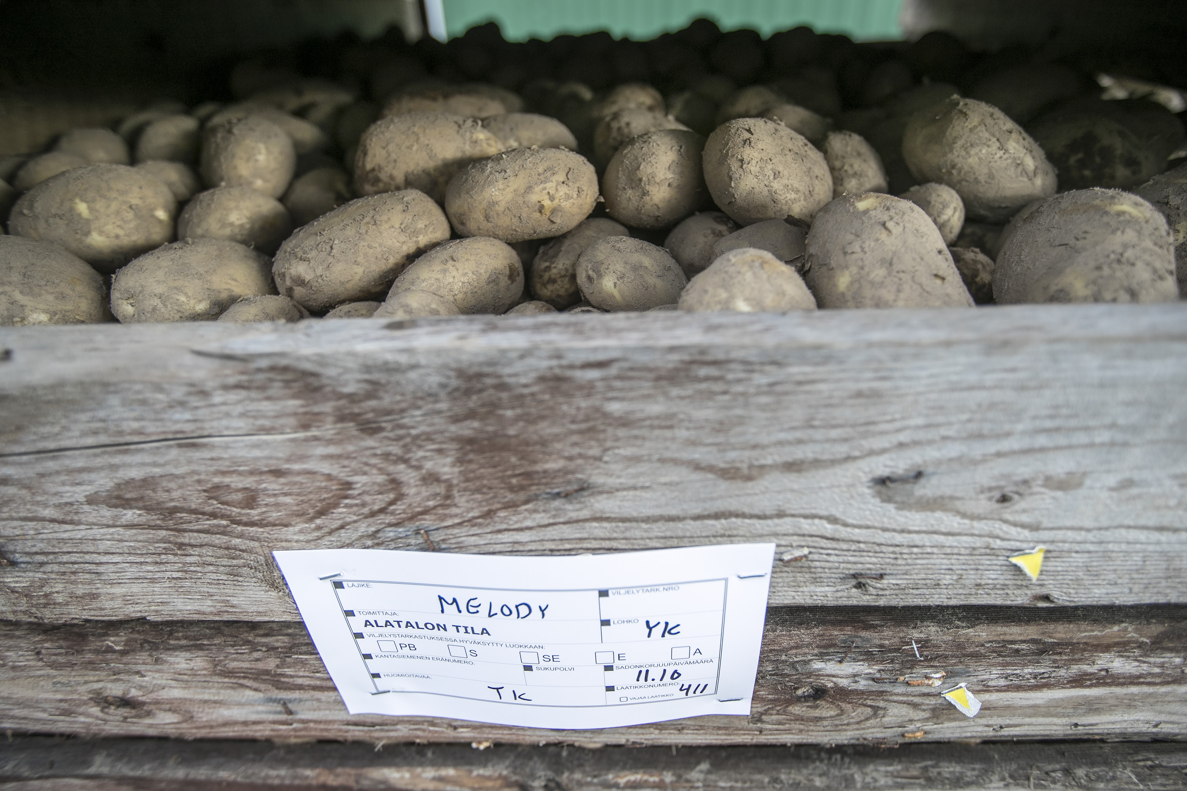 Tyrn‰v‰n perunoita