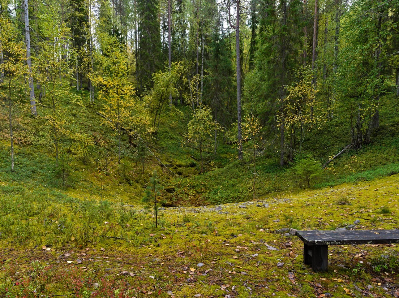 Jumalanhauta Pudasjärvellä.