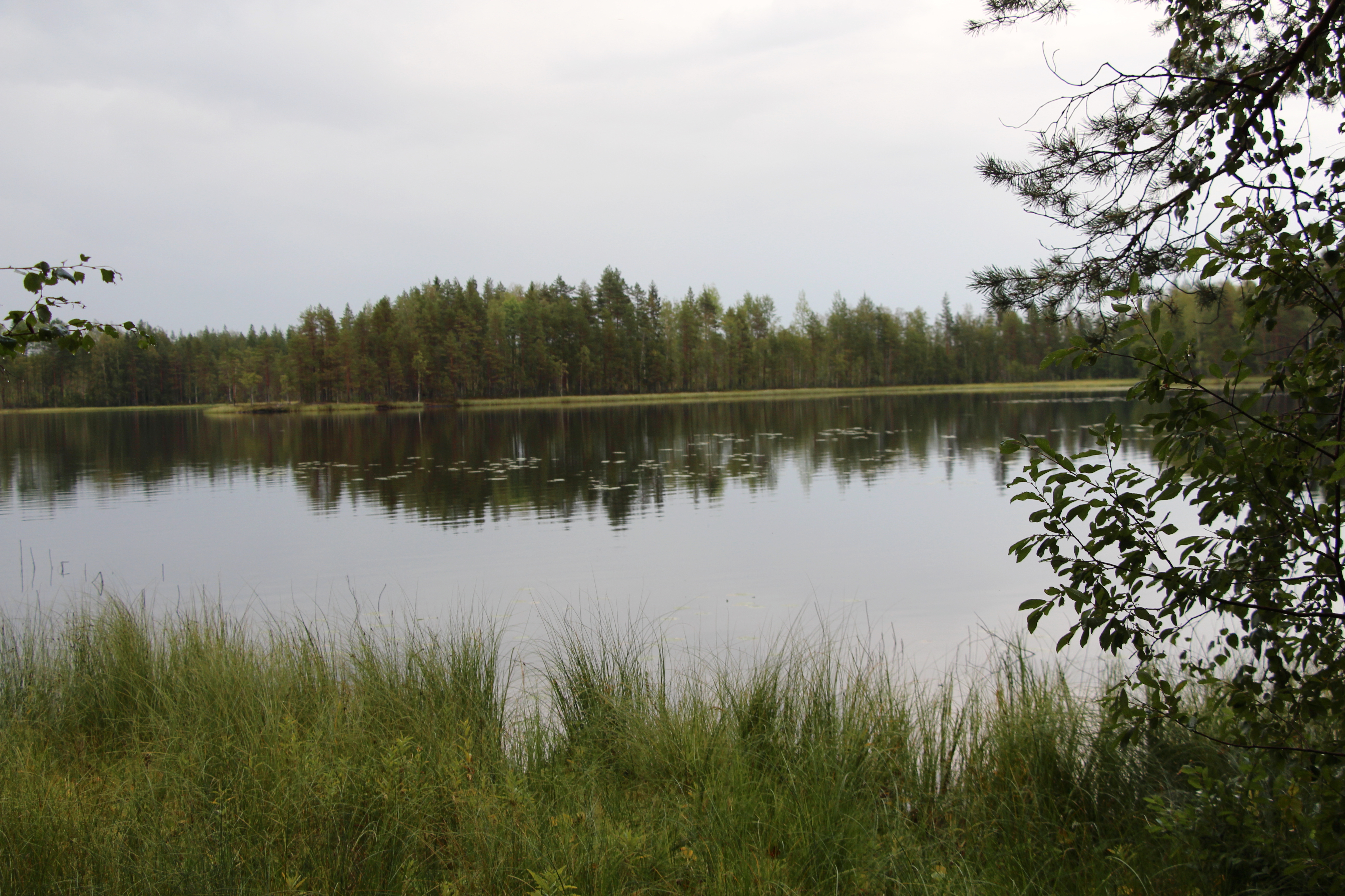 Isojärvi-Ahvenlampi -alueella on laavuja, nuotiopaikkoja ja luontopolku. 