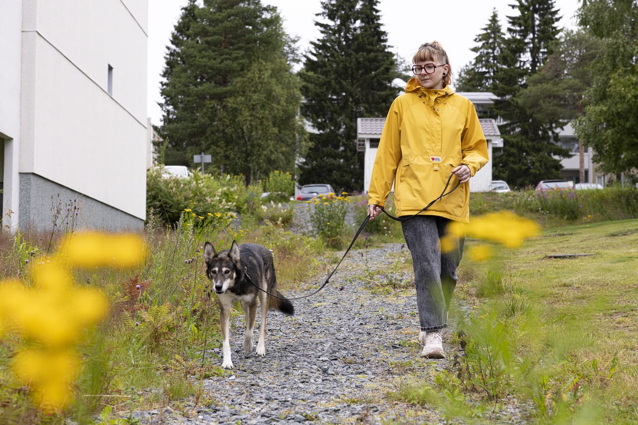 Linda Järventausta halusi tarjota kodin rescuekoiralle, koska maailmassa on liikaa kodittomia koiria. Rasta on rauhallinen eläkeläinen.
