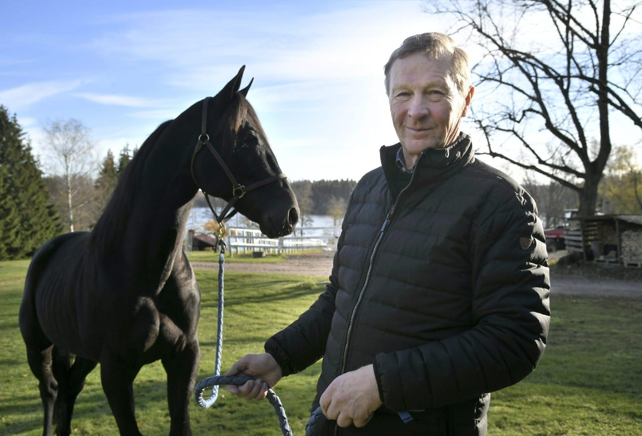 Hotshot Luca -ori on ollut muutaman kuukauden ajan Vihdissä Pekka Korven valmennettavana. Korven mukaan Hotshot Luca on ”kiva, pirteä ja hyväluontoinen oripoika”.
