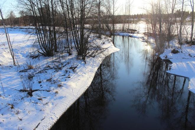 Alavudenjärven eteläosan jäät ovat nyt poikkeuksellisen heikkoja, sillä Pahajoki on puskenut ahkerasti vettä järveen lähes koko talven. Runsas virtaama onkin pitänyt järven eteläosaa laajalti avoimena jäästä, eikä talven sääkään ole edistänyt teräsjään muodostumista. KUVA: REIJO HEIKKILÄ