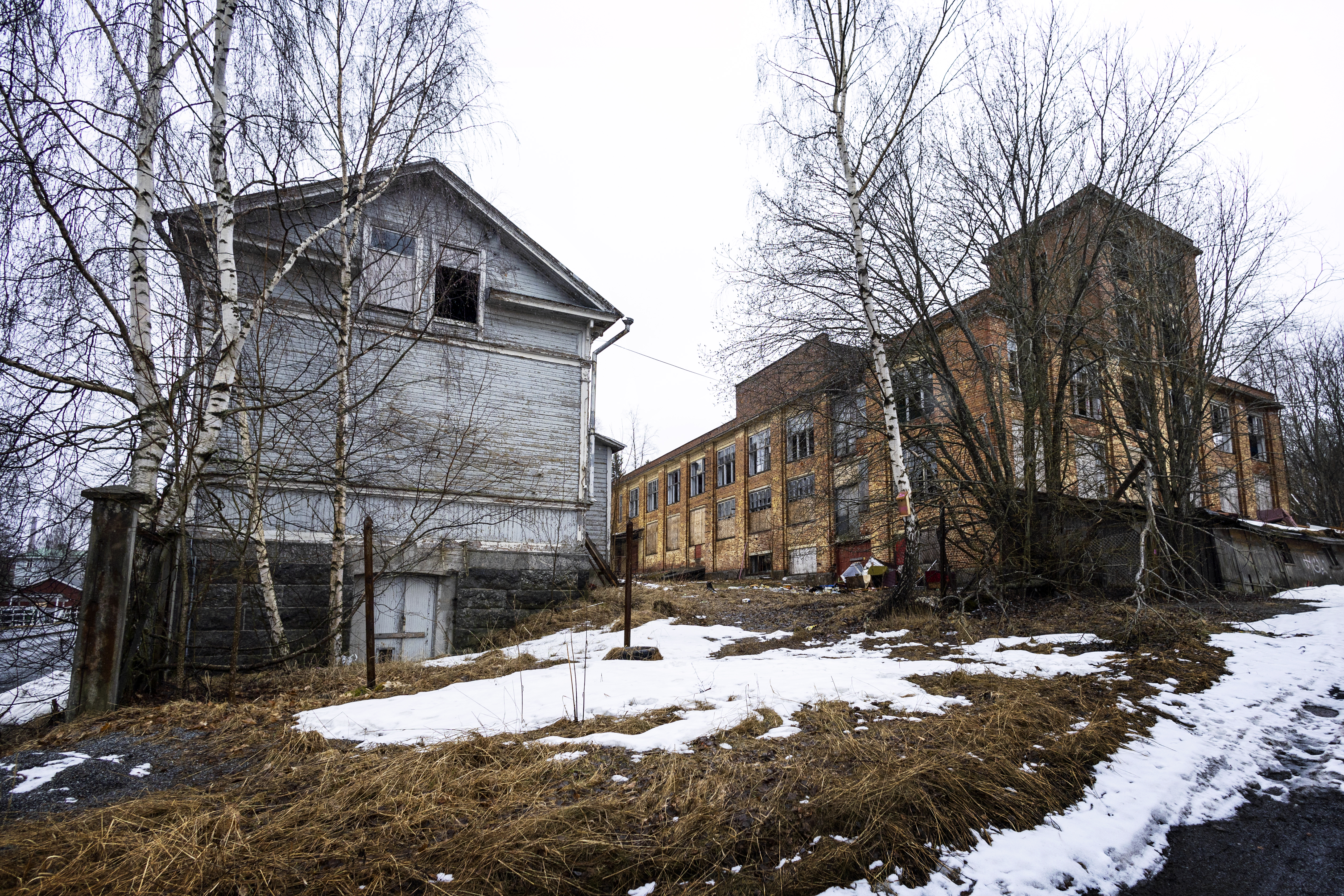 Palosaarelle yritetään jälleen suunnitella satoja hulppeita merenrantakoteja – Kaavoittajalla on vastassaan tuttu uhka