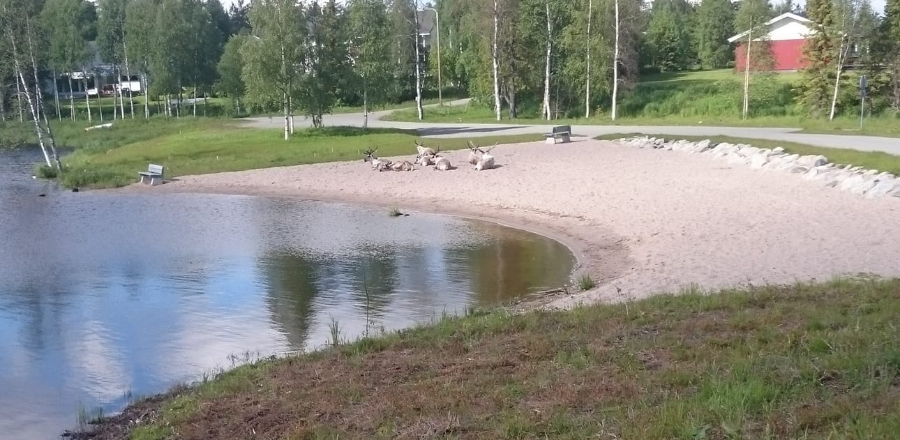 Uimaan menossa?