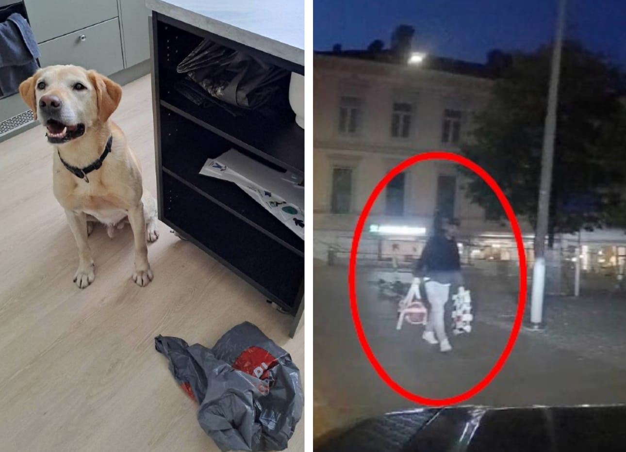 Erikoiskoira Sampo pystyi vielä pitkän ajan jälkeen merkkaamaan, että Vaasan Kasarminkadulla sijainneen airbnb-asunnon keittiösaarekkeen hyllyssä oli säilytetty huumeita. Toisessa kuvassa Ari Nieminen saapuu Raastuvankadulla sijainneeseen airbnb-asuntoon. Hänellä on kannossa laukku, josta löytyi muun muassa rahaa ja vakuumipakkausvälineistöä.