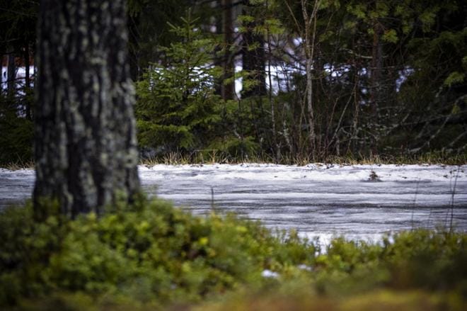 Lämpötila pyörii nollan tienoilla aaton aatosta joulupäivään. Kuva: Jarno Pellinen