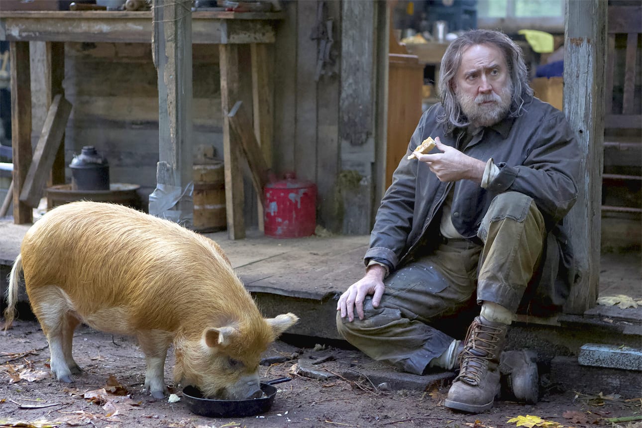 Robin Feld (Nicolas Cage) on erakko jolla on menneisyys. Seuranaan hänellä on tryffeleitä vaikuava sika.