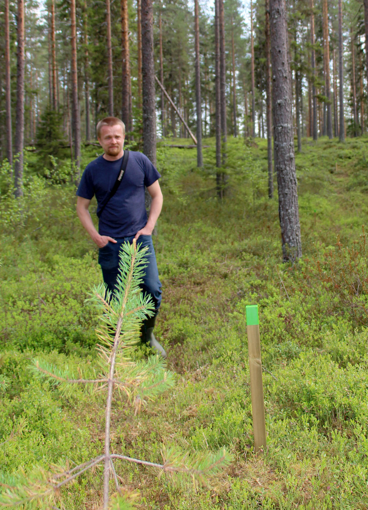 Ari-Pekka Auvinen on merkinnyt luontopolun ja toivoo, että kulkijat löytävät paikalle polkua vahvistamaan.