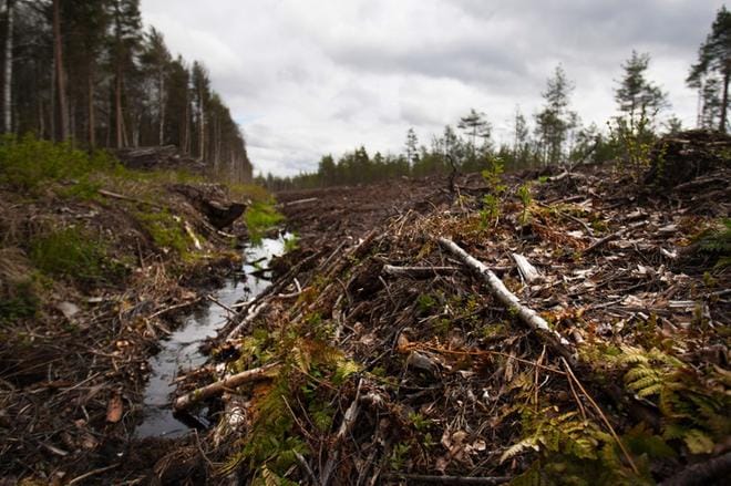 Kotanevalla tehtiin vuosia sitten pintavalutuskentän penkka ja vallirakenteet, mutta Vaasan hallinto-oikeus keskeytti työt. ARKISTOKUVA: MARIA MÄKI