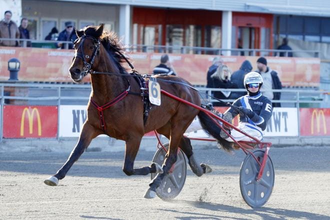 Ruotsista Seinäjoki Raceen saapuu mm. Pastore Bob, jota kuvassa ohjastaa Christoffer Eriksson. Seinäjoella sen kärryillä istuu valmentaja Johan Untersteiner. KUVA: ALN.SE