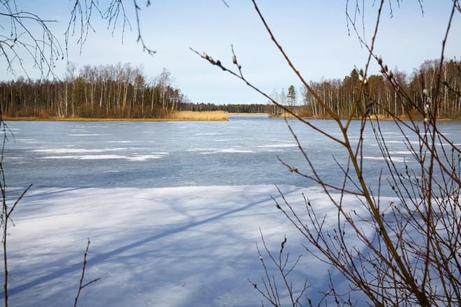 Pukinjärvelle ollaan taas tekemässä puhdistustöitä. Järven pohjassa on paljon muun muassa kromia, arseenia, ja fosforia. Vaasassa on yksi Euroopan mittakaavassa saastuneimmista järvistä. KUVA: TIMO ANNANPALO