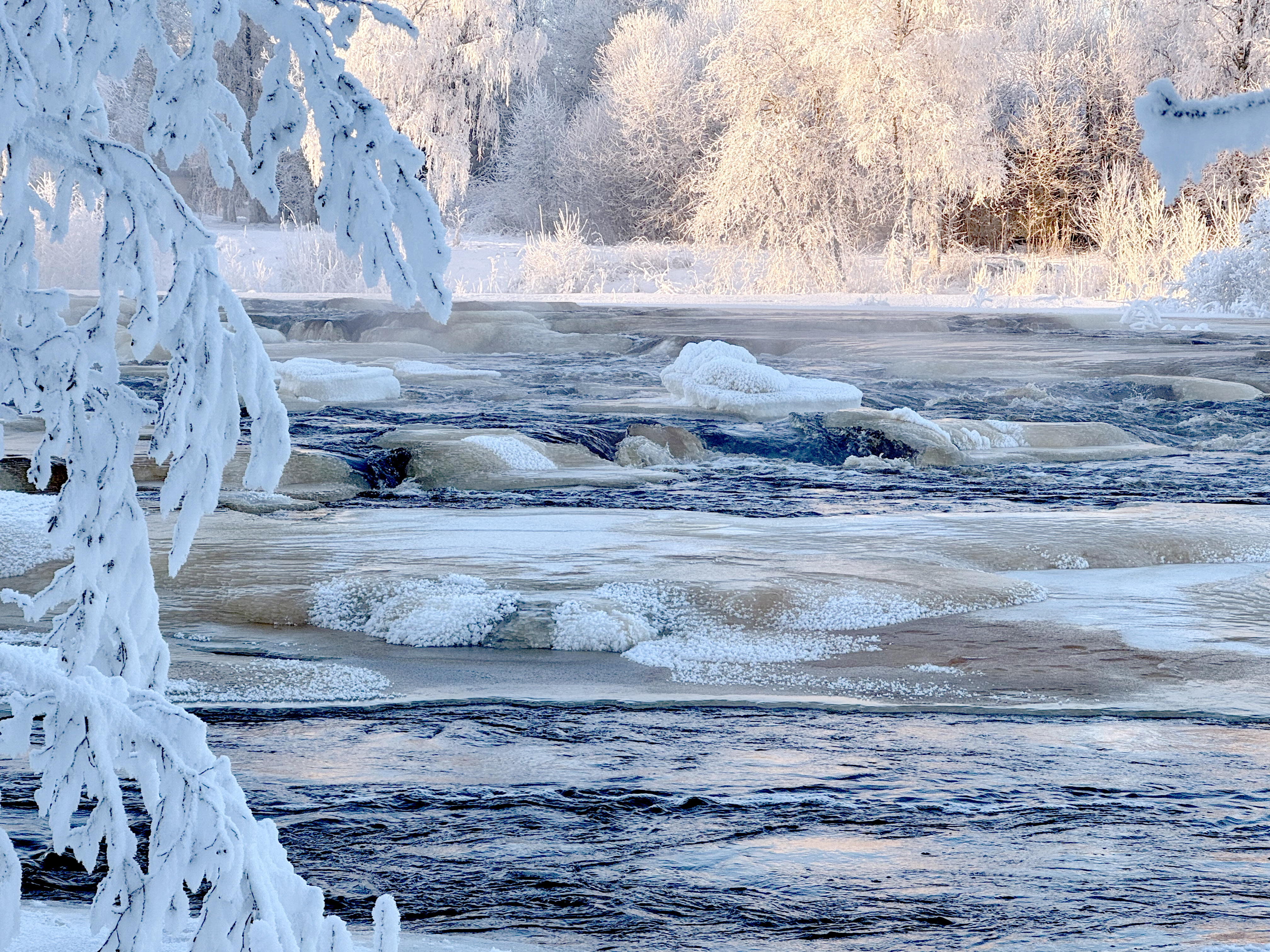 Hyydetulva peittää osan Kreivinsaaren luontopolusta. Kuva on otettu laavulta.