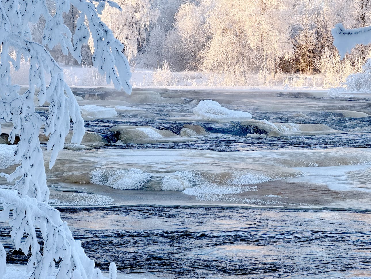 Hyydetulva peittää osan Kreivinsaaren luontopolusta. Kuva on otettu laavulta.