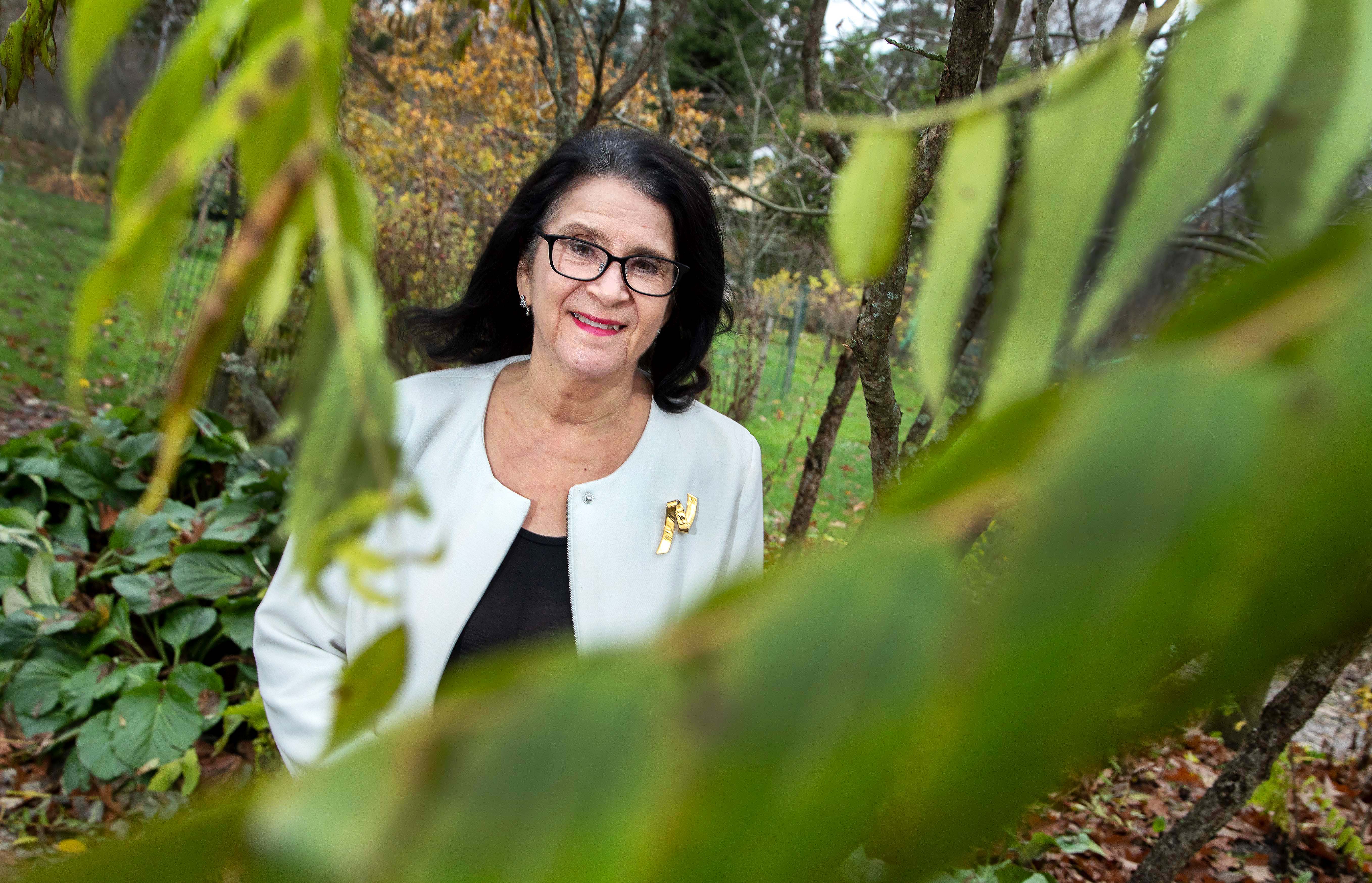 Hannele Niemi jatkaa Lapin yliopiston hallituksen johdossa