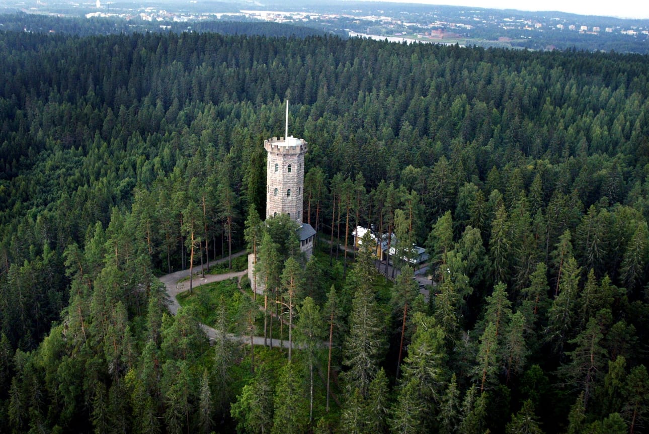 Metsähallituksen pääjohtajan johtamistavat nousivat esille elokuun puolivälissä, kun Maaseudun Tulevaisuus uutisoi tekeillä olevasta selvityksestä. Sekä pääjohtaja Hyttinen että hallituksen puheenjohtaja Laitinen luonnehtivat yhteydenottoja epämääräisiksi.