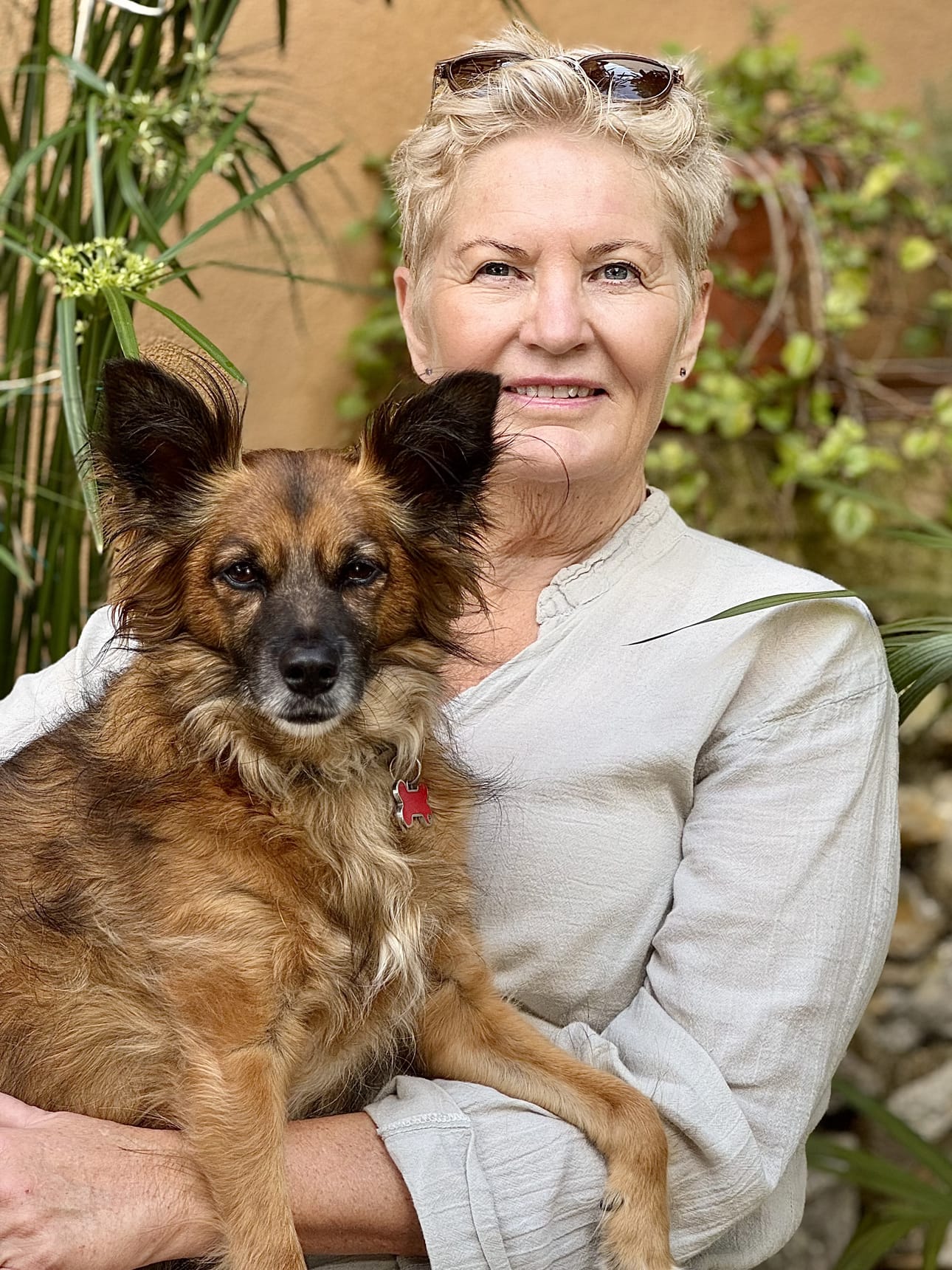 Lily-koira on Annika Hasleckerin rakas seuralainen.