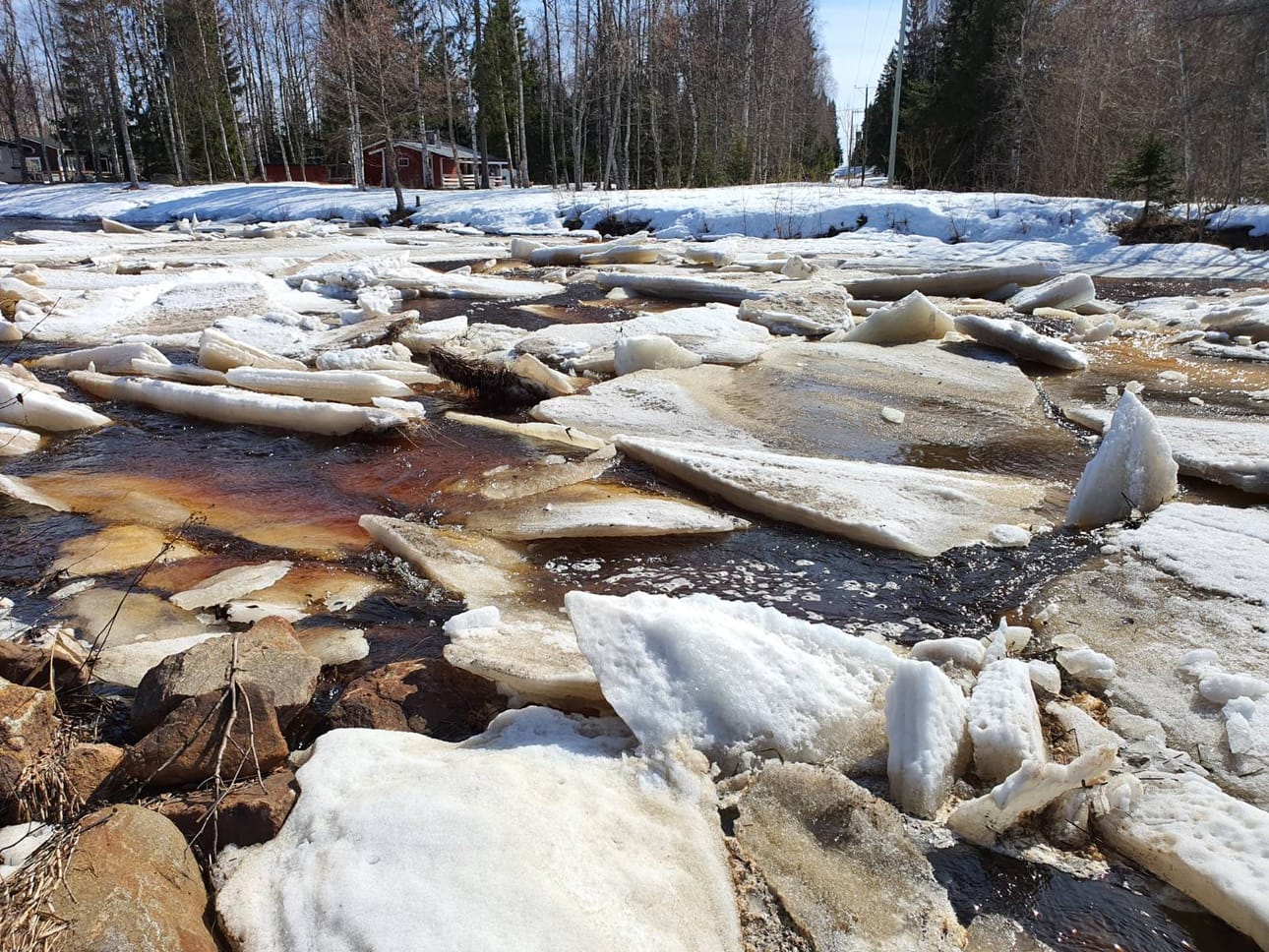 Viantienjoella jäitä on jo virrannut alavirtaan. Kuva otettu joelta 2. toukokuuta.