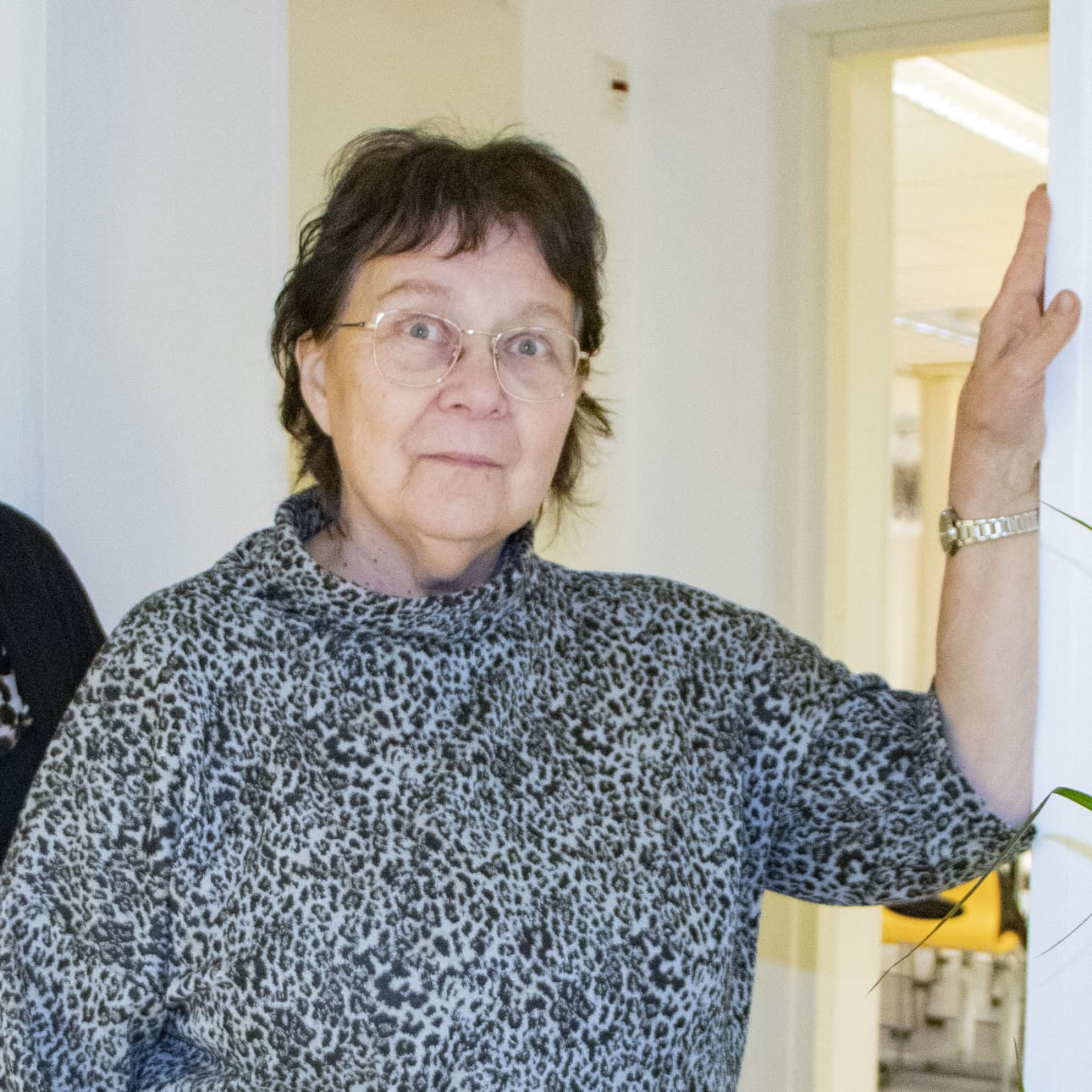 Raili Heikkilä on Haapavetinen kaupunginvaltuutettu. Hän toimii Haapaveden kylienneuvostossa Ainalin kylän edustajana.