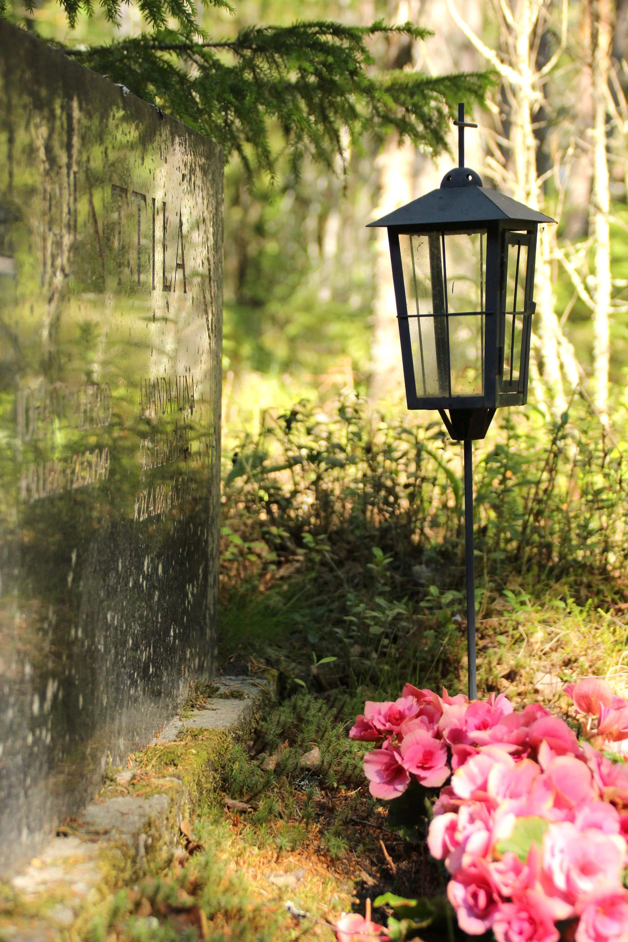 Puutarhan kukat ja metsän kuuset yhdessä viihtyvät Väinölässä.