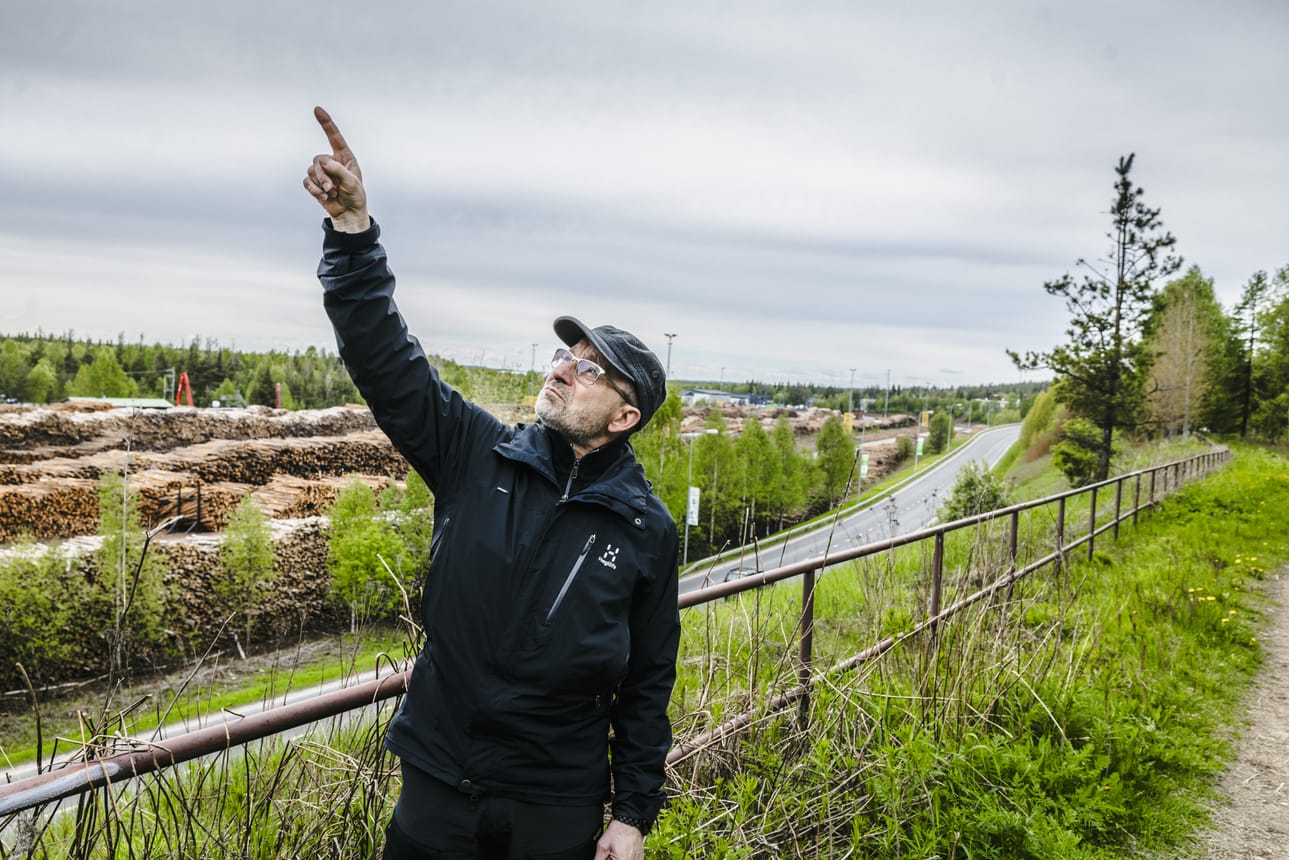 Tuholaishyönteinen ytimennävertäjä syö männyt Korkalovaarassa, kertoi Arktisen keskuksen johtajaksi siirtyvä Luonnonvarakeskuksen tutkimusprofessori Pasi Rautio viime kesänä.