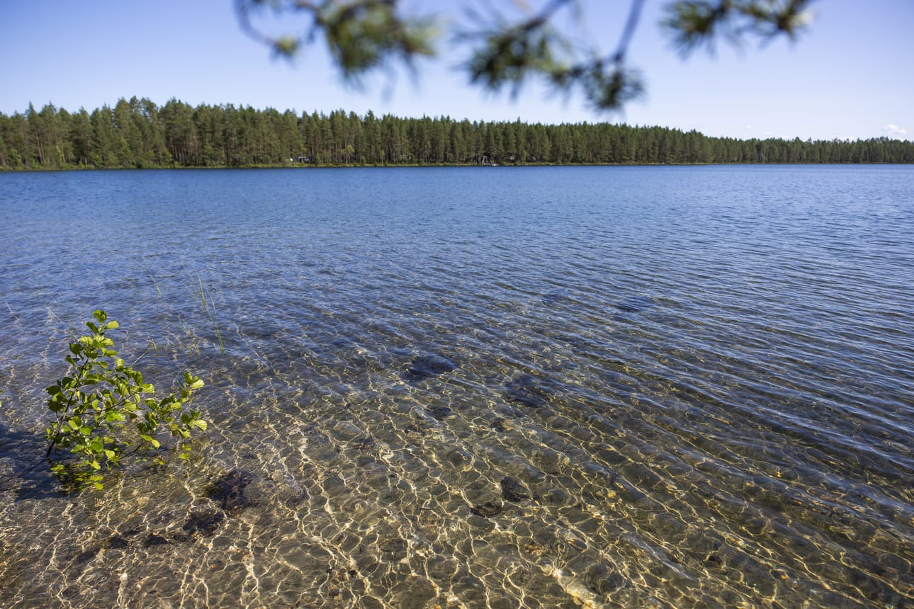 Kirkaslammen veden kirkkaus johtuu pohjavedestä ja maaperän hiekasta.