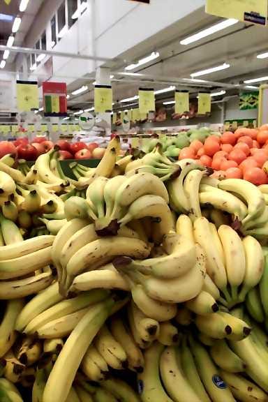 Kymmenen vuoden kuluttua banaanit saattavat hävitä kaupoista ja koko maailmasta.