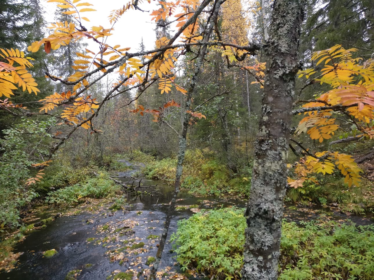 Porontimajoella Mauri 18 -myrskyn aikana.
