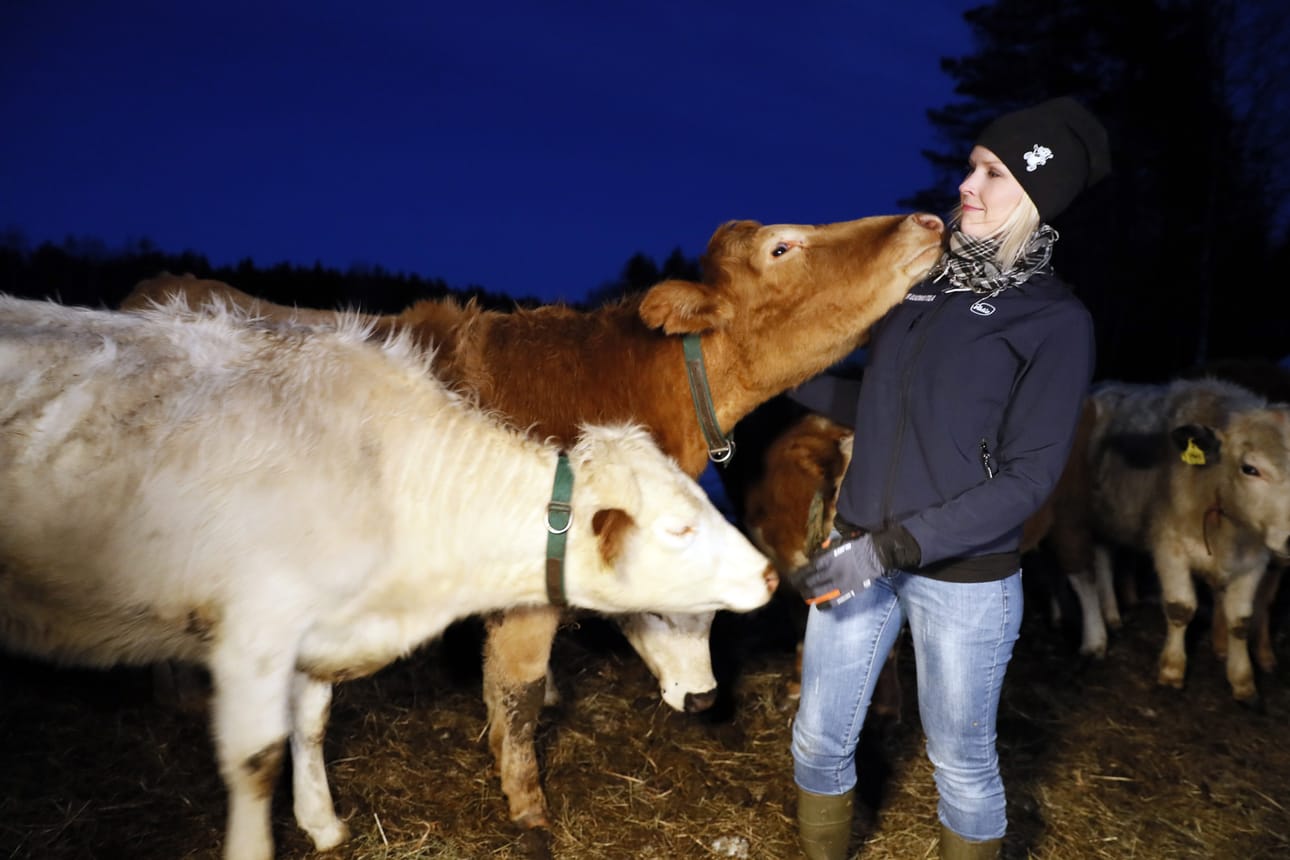 Kiimingin Hannuksessa luomutilaa pitävä Aino Keränen sanoo, että lehmien ulkona pitämisessä läpi talven ei ole mitään ongelmaa kovimmillakaan pakkasilla. Ne kasvattavat pitkän karvan, joka pitää lämpimänä. Tilalla noin puolet karjasta on navetassa ja toinen puoli pihalla.