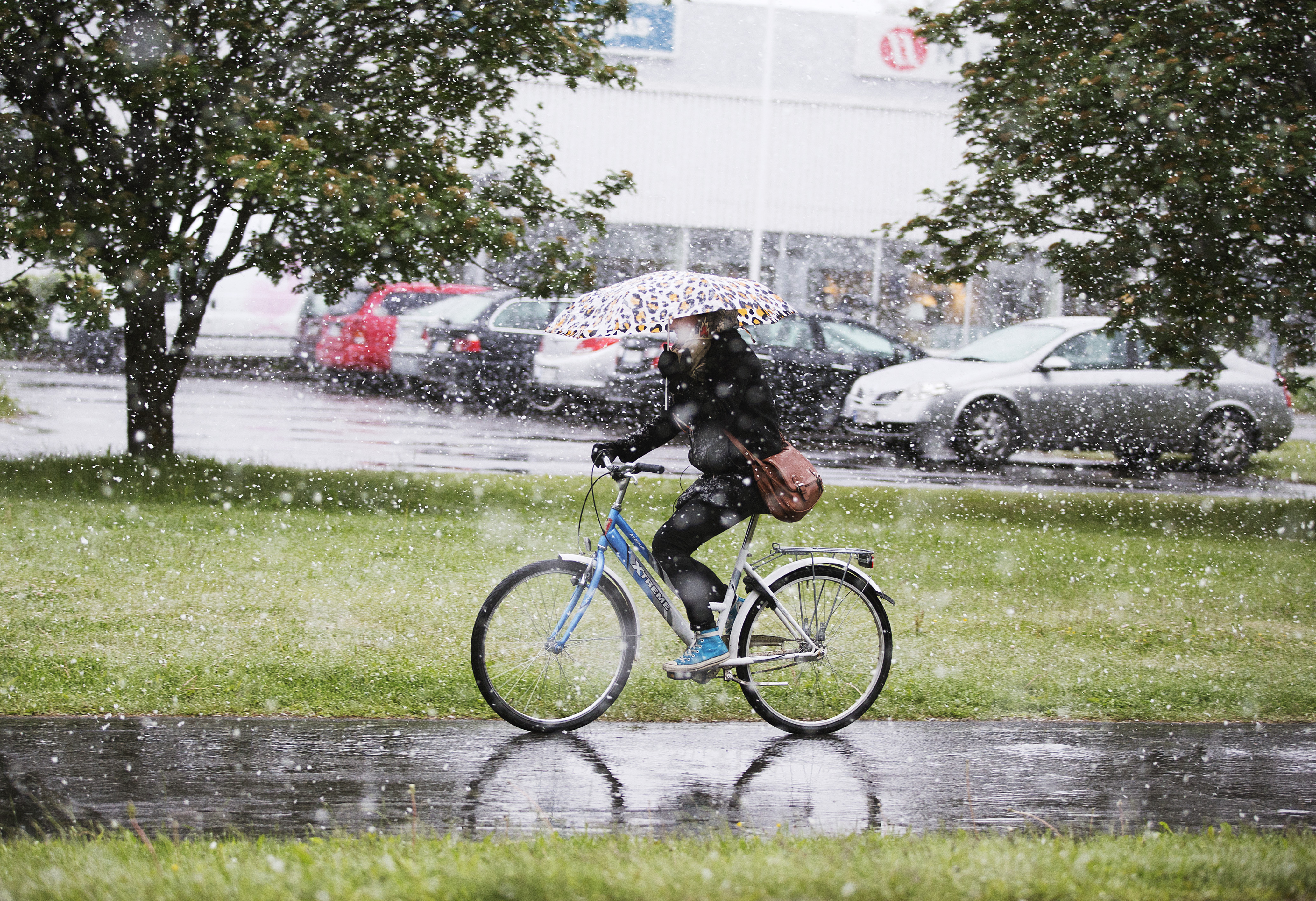 Moni hämmästyi tänä aamuna töihin lähtiessään, kun taivaalta tuprutti kunnolla lunta Oulussa.