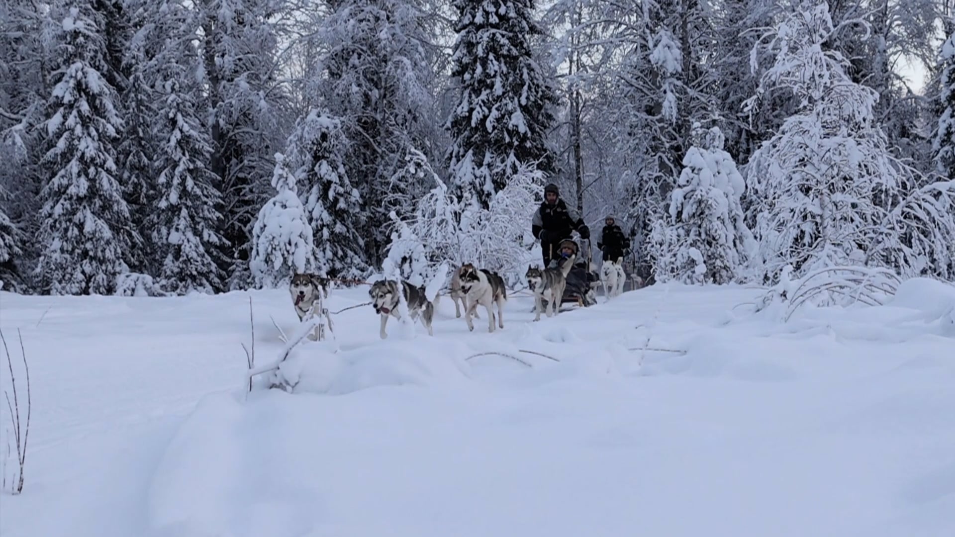 Ulkomaiset turistit palasivat Syötteelle