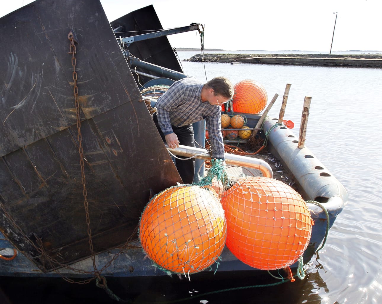 Kaleva aloittaa uuden kesäsarjan, jossa tavataan ammatti- ja harrastekalastajia. Norppien suuri määrä haittaa kalastajien työtä Kiviniemessä.