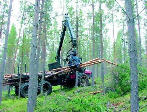 Stora-Enson puunhankita-alueiden rajat muuttuvat