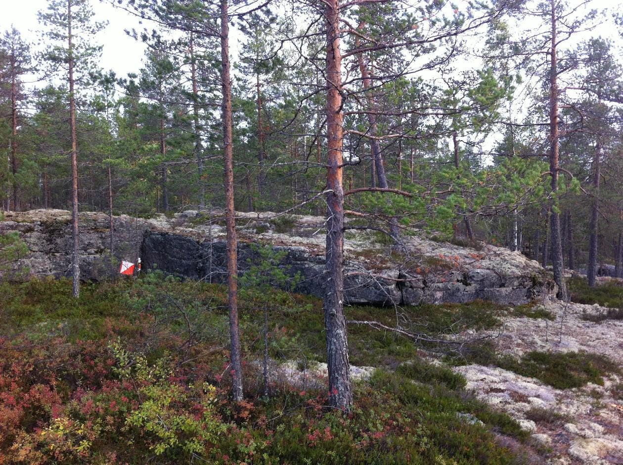 Suunnistajalle sattui harvinainen onnettomuus Alavudella. Arkistokuva.
