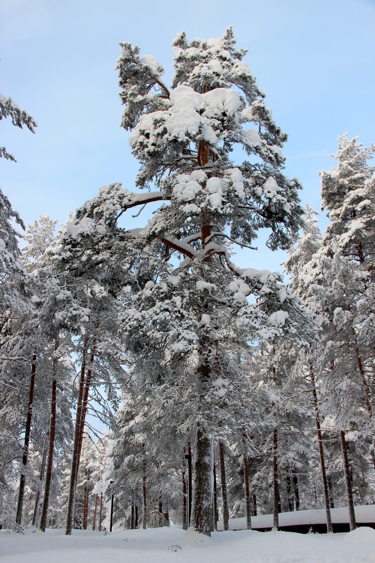 Kempele hankkii lisää maata Metsärinteen alueelta.