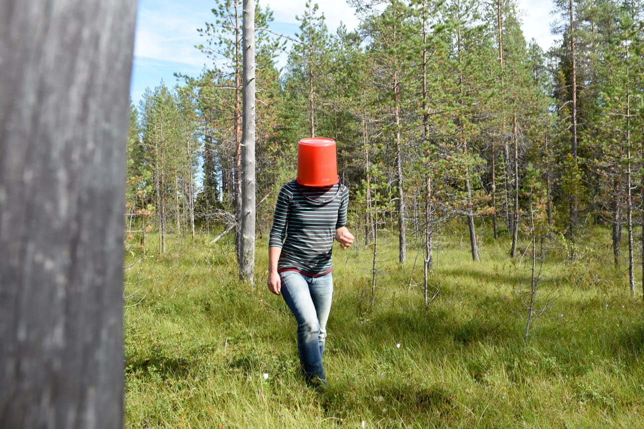 Kun nostaa päänsä marjamättäästä voi huomata olevansa eksynyt. Silloin ei kannata lähteä etsimään oikeaa nsuuntaa summamutikassa, vaan ottaa puhelinsovellukset avuksi.