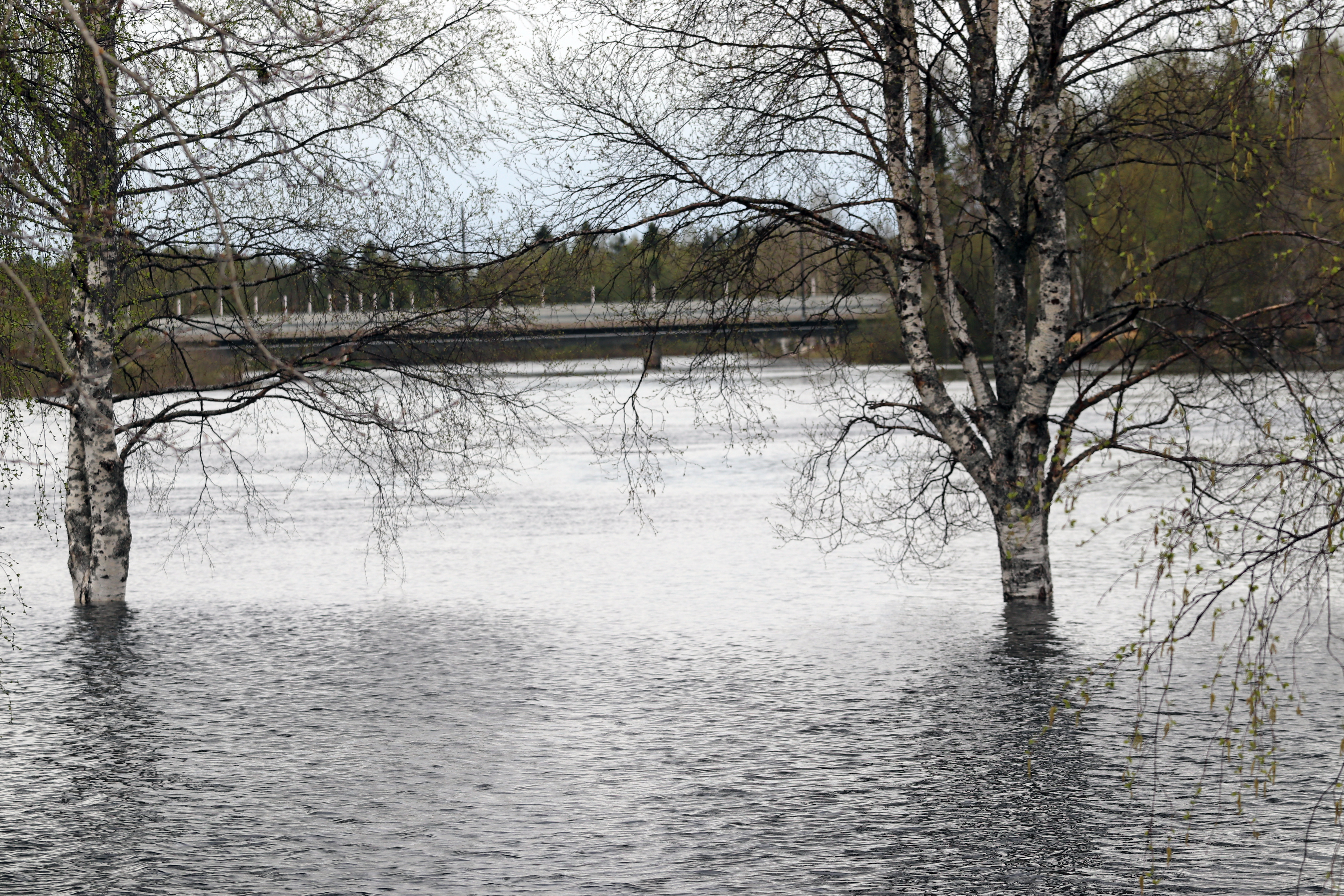 <p>Rajamaanranta Iijoen sillalle päin kuvattuna 27.5.2020.</p>