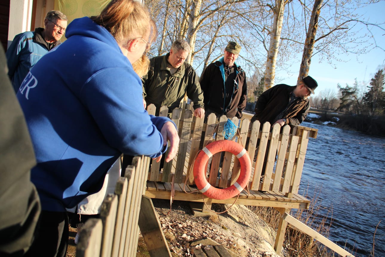 Kreivinsaaressa voi järjestää vaikka saunailtoja. Jokeen vieviä portaita tarkastamassa edessä Tuula Kärki ja hänen takanaan Matti Lassila, Risto Niinimaa, Kalervo Holopainen ja Marko Alaluusua.