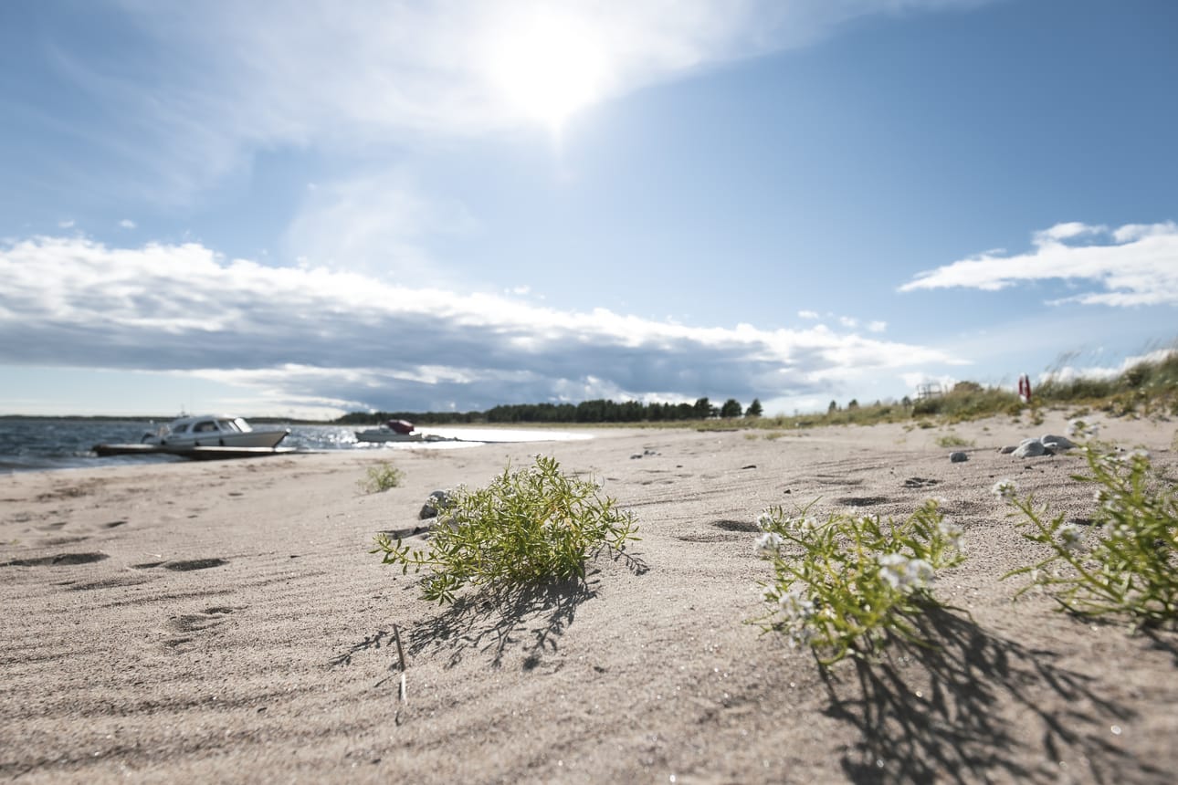 Haaparannan edustan kahteen saareen Torne-Furölle ja Hahinkariin pääsee heinäkuussa suorana Haaparannan keksustasta.