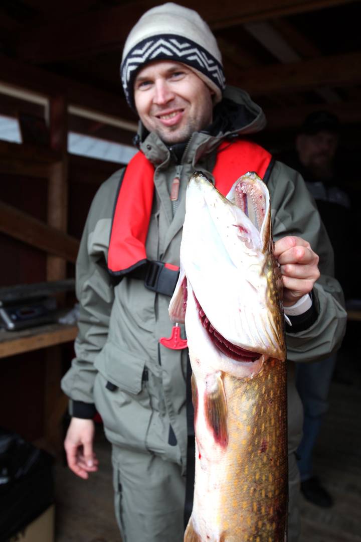 Timo Sarpolan hauki kävi puntarilla, tulos 6,530 kiloa.