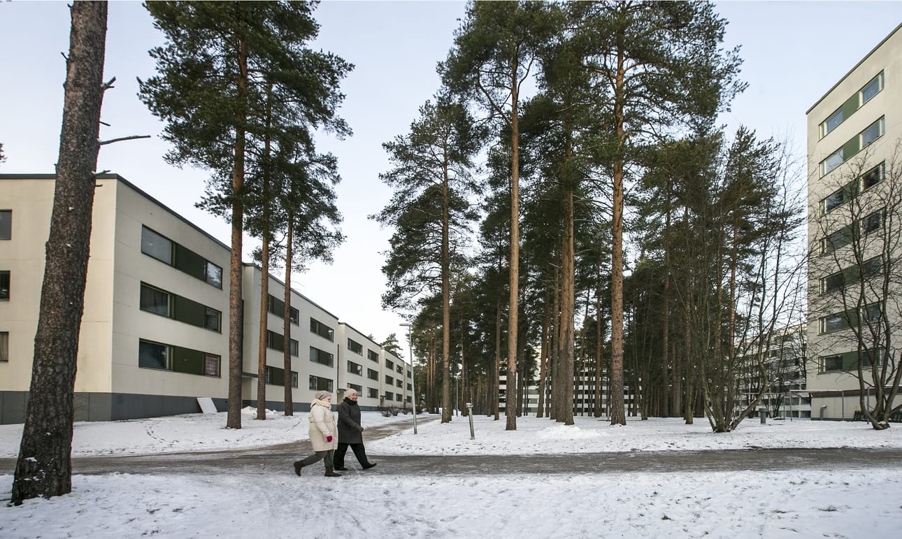 Kaukovainio on tyypillinen suomalainen metsälähiö, jossa talot sijoittuvat varsin etäälle toisistaan ja korkeiden mäntyjen latvat huojuvat talojen harjan tasolla.