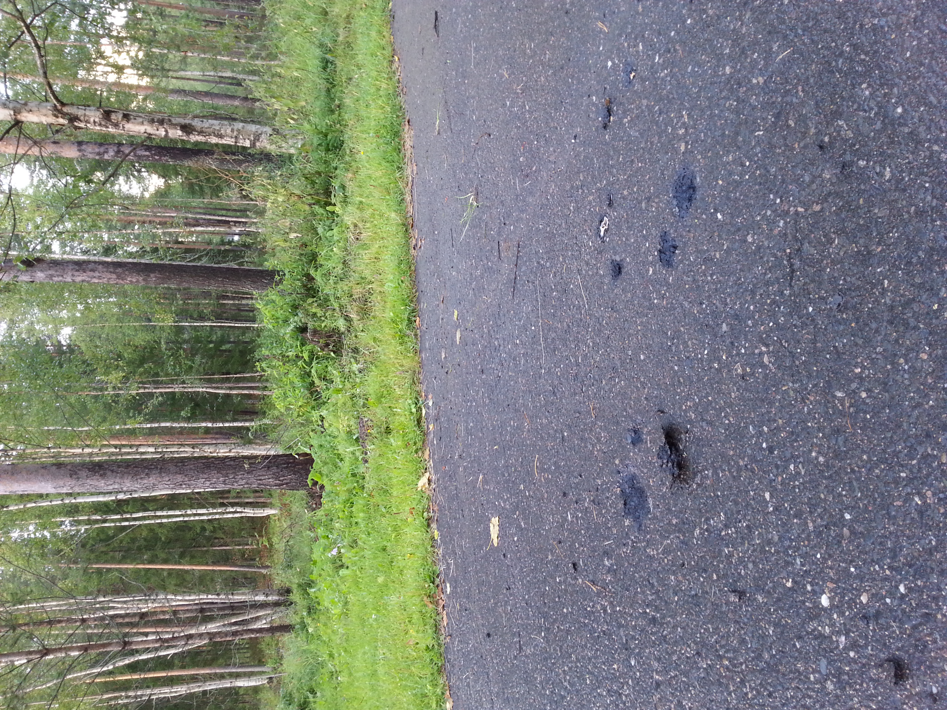 Salaman seurauksena pyörätien asfalttiin tuli kuoppia ja tummia kohtia.