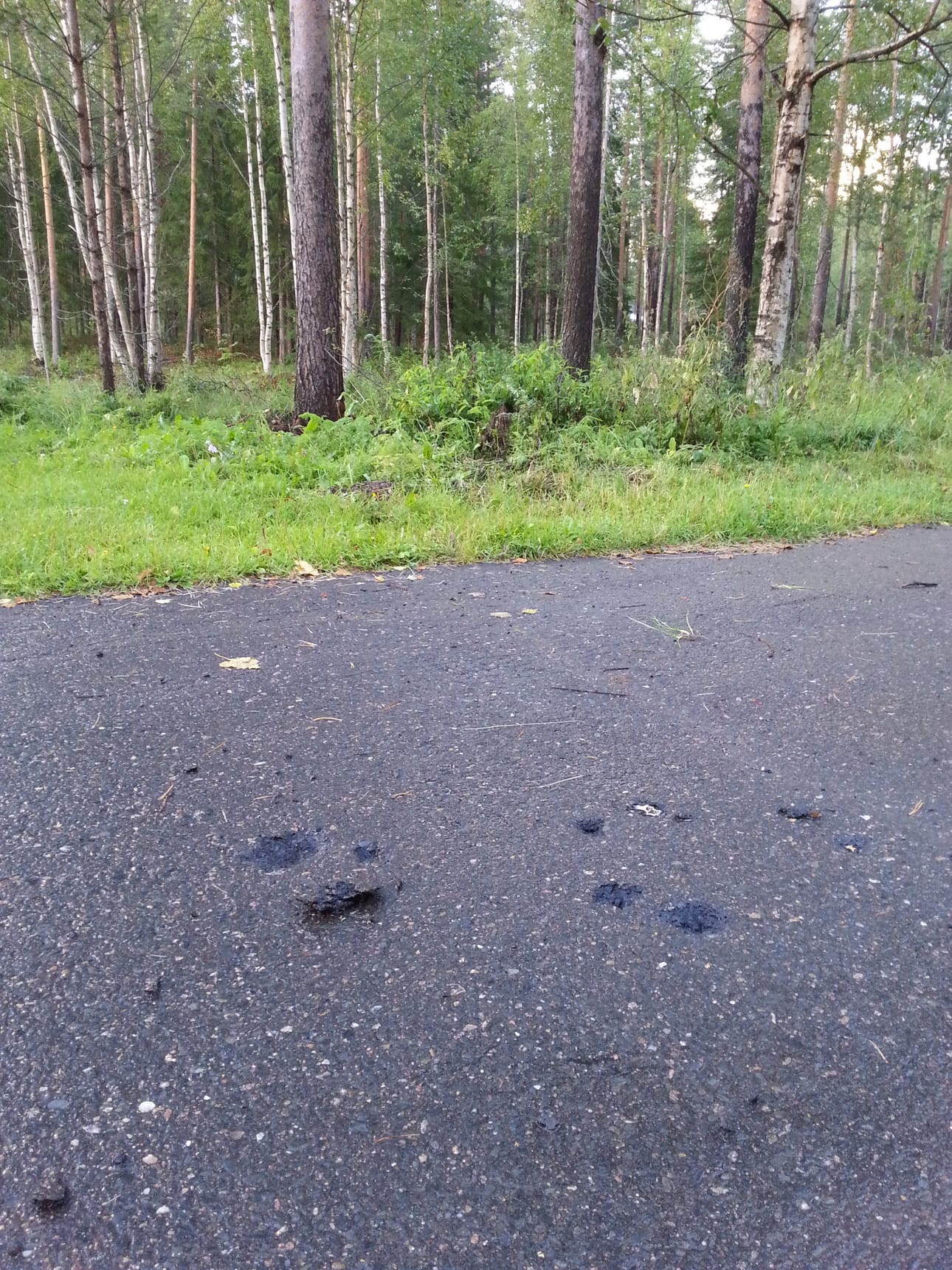 Salaman seurauksena pyörätien asfalttiin tuli kuoppia ja tummia kohtia.