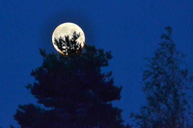 Kuutamohiihdolle lähdetään Alajärveltä kirkkopihasta, Lehtimäellä hiihdetään Valkealammella. ARKISTOKUVA: JOUKO HÄNNINEN