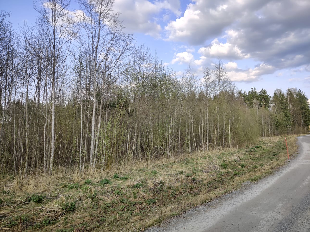 Rapamaan kentästä on jäljellä vain muistot.
