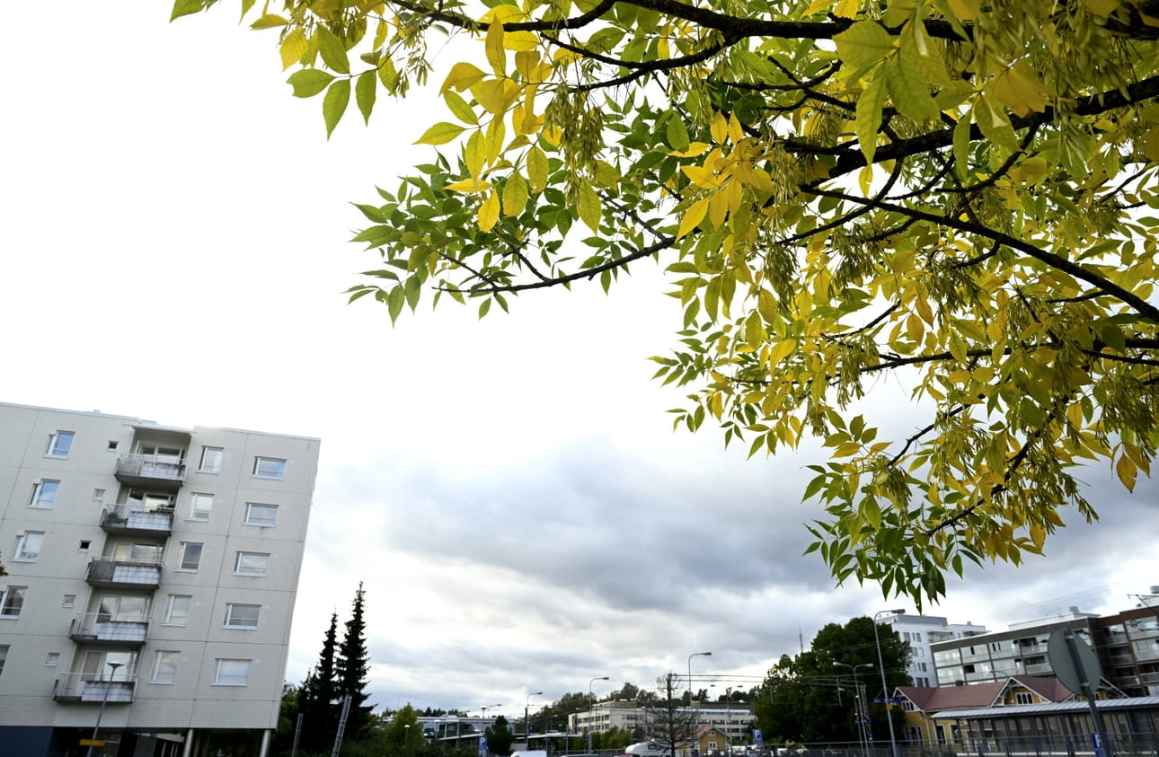Sään ennakoidaan viilenevän viikonlopun aikana. LEHTIKUVA / HEIKKI SAUKKOMAA