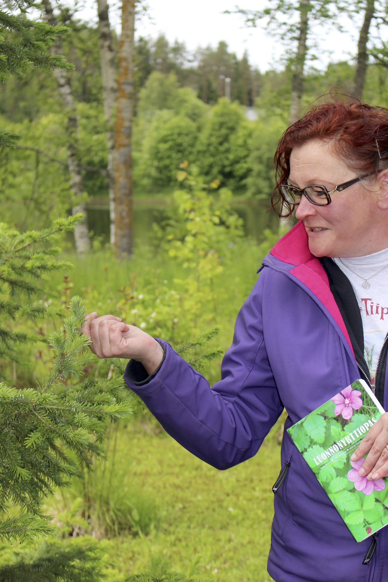 Kuusenkerkkä sopii vaikka smoothien tai salaatin sekaan. Ravintokäytön lisäksi Tanja Ijäs sivuaa kursseillaan kasvien kosmetiikka- ja koristepuolta. ”Esimerkiksi koiranputki ja karhunputki sopivat hyvin maljakkoon”, hän vinkkaa.