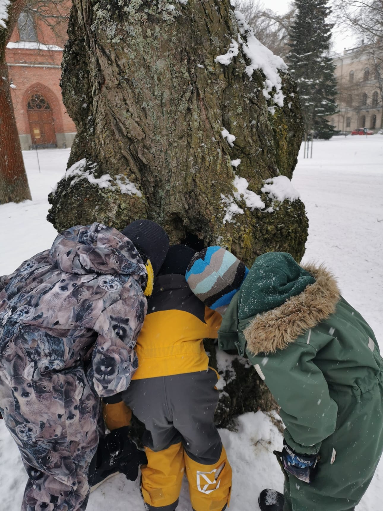 Ystävyys on yhteisiä seikkailuja, joista syntyvät muistot.