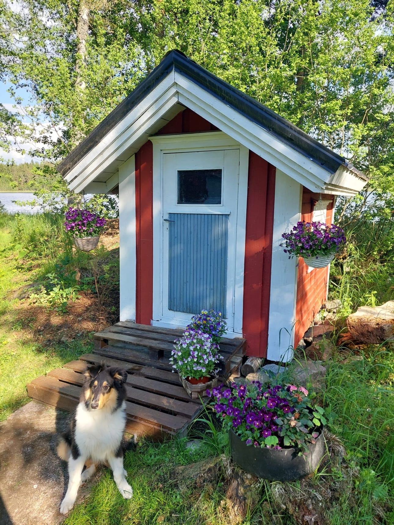 Mökki numero 17